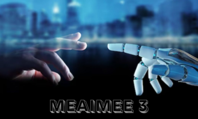 Meaimee 3