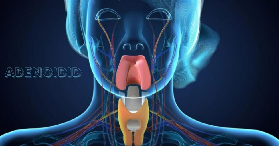 Adenoidid