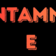 Bntamnh E