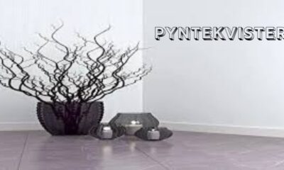 Pyntekvister