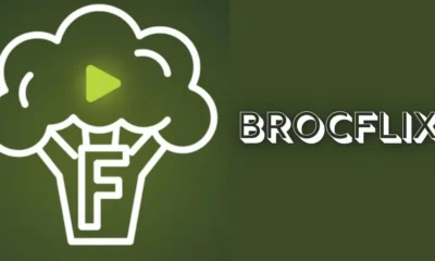 Brocflix