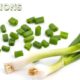 Scallions