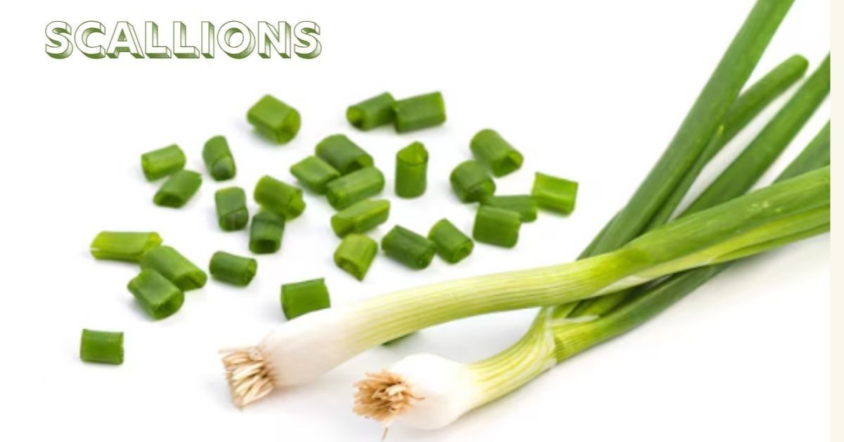 Scallions