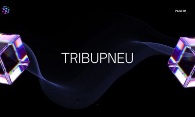 Tribupneu
