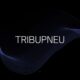 Tribupneu