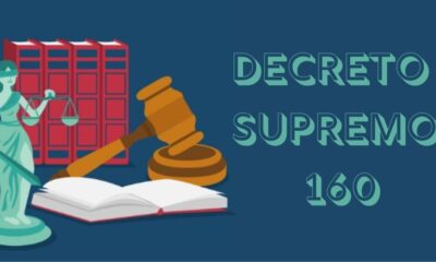 decreto supremo 160