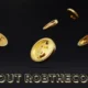 About Robthecoins