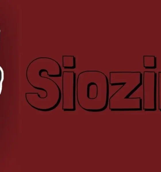 Siozinis