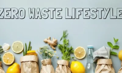 Zero Waste Lifestyle